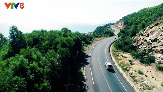 'Journey of happiness' - Special program to welcome the new year 2019 on VTV8