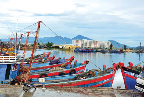 Quang Ngai strives to end illegal fishing