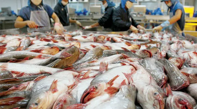 EC starts inspection of Vietnam's fisheries