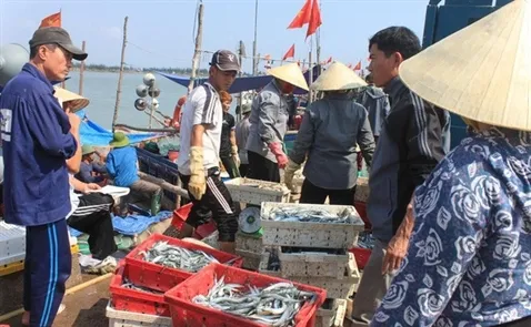 Measures to prevent illegal fishing