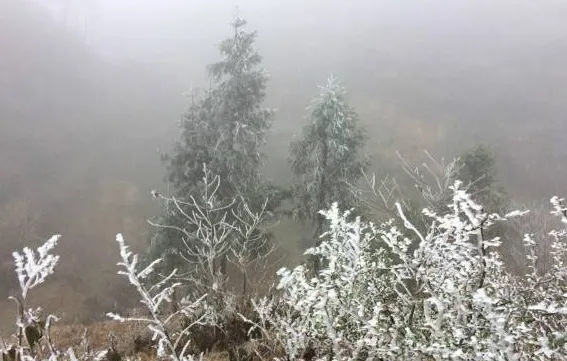 Farmers in Ha Giang fight cold weather