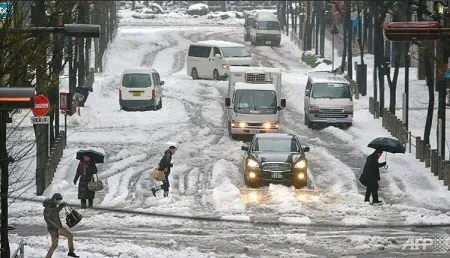 Tokyo hit by heaviest snow since 2014