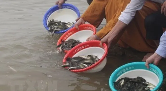 Renewing aquatic resources in the Gulf of Tonkin