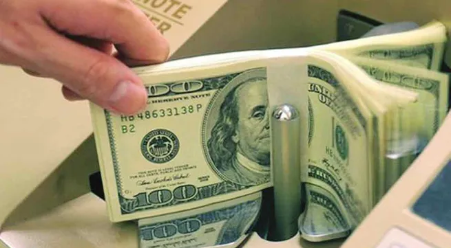 Foreign reserves reach record high of 51.5 billion USD