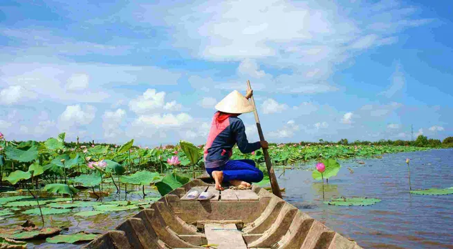 3% of foreign visitors feel satisfied with trip in Vietnam