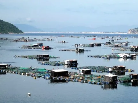 Phu Yen approves plan to develop aquaculture