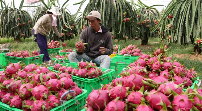 Sharp growth in fruit exports