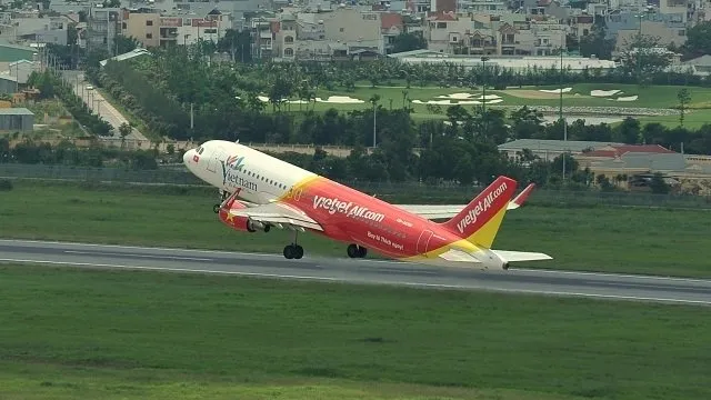 Vietjet to carry peach flower, ochna integerrima, on Tet flights