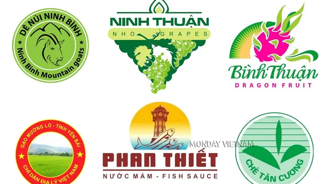 Effectively exploiting geographical indications