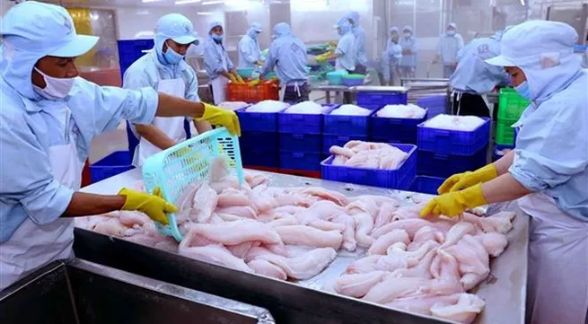 Fisheries sector required to continue improving product quality