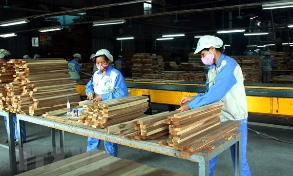 Forestry, aquatic exports expected to earn 20.5 billion USD in 2019