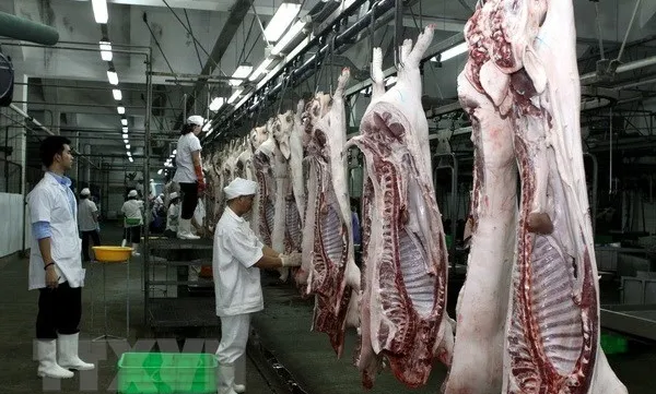 HCM City to open six cattle slaughterhouses