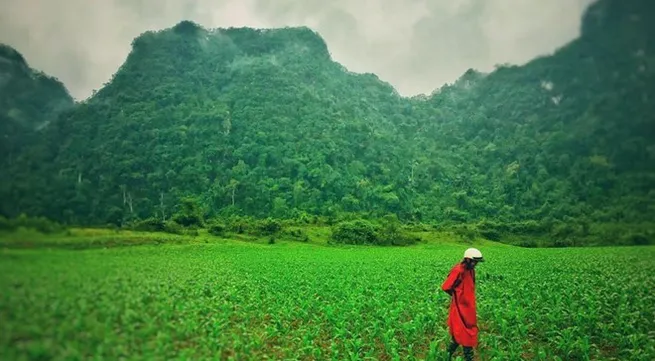 Quang Binh to introduce local images to Hollywood