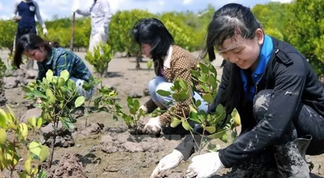 Tree planting festival on lunar New Year occasion launched