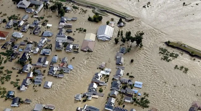 Vietnamese citizens supported during typhoon Hagibis