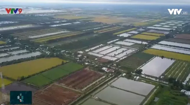 International workshop on erosion in the Mekong delta region