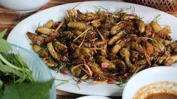 Dried milk cicadas: A must try dish for visitors to Son La