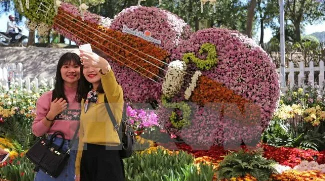 Lam Dong Province to hold flower festival in December