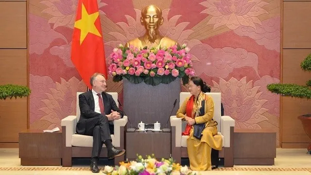 Vietnam to seriously realise commitments in deals with EU: NA leader