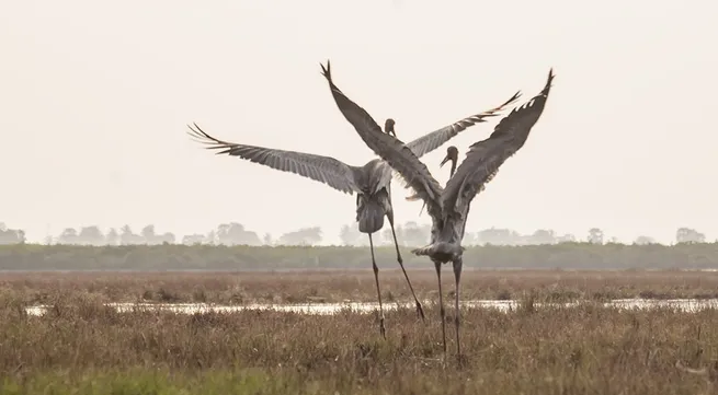 Photo exhibition calls for the need to protect nature