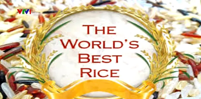 Vietnamese rice wins first prize at World’s Best Rice contest