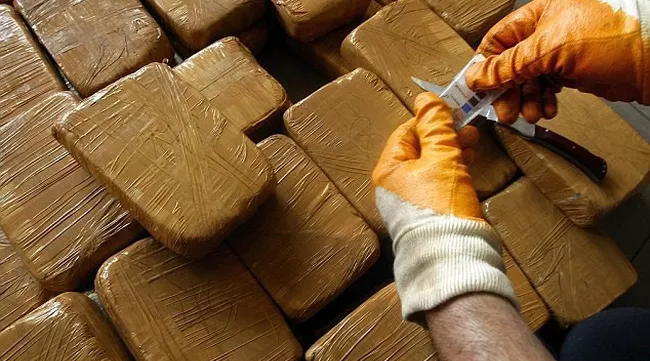 Italy arrests 19 in bust of international drug trafficking ring