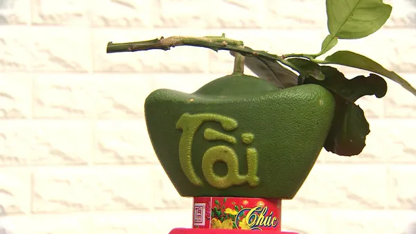 Creative carving on green pomelo