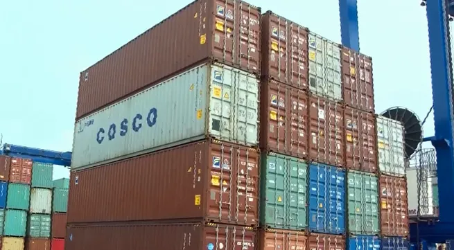 GDP growth in 2019 to reach 7.15%