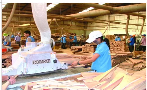 Restore and preserve traditional craft villages in Binh Dinh