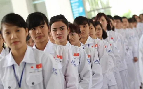 30,000 Vietnamese technical labourers find employment in Japan