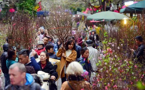 Hanoi gears up to open 51 spring flower markets for Tet