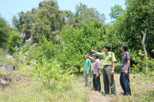 An Giang province faces high risk of forest fire