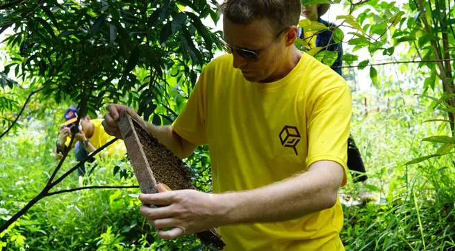 Franck Maury's love for bees