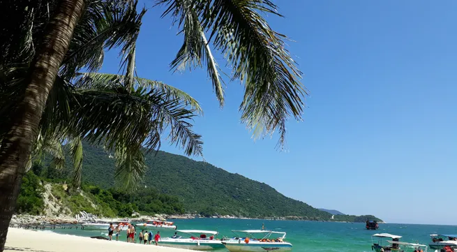 The world biosphere reserve of Cu Lao Cham celebrates 10 years