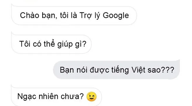 Google launches AI Assistant in Vietnamese