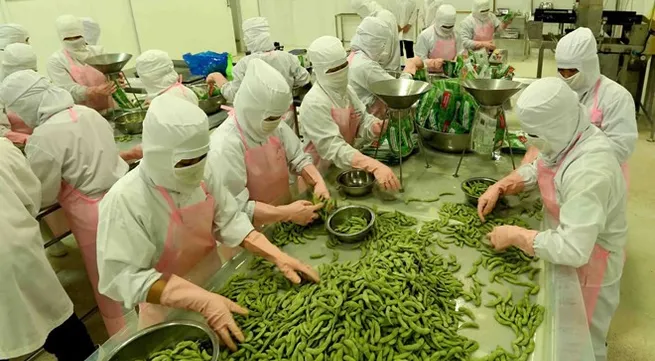 An Giang: Exports grow sharply in four months