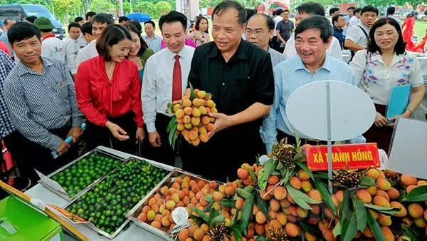 Thanh Ha Lychee Festival 2019 opens in Hai Duong