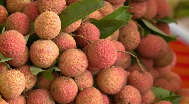 Forum promotes consumption of Bac Giang lychees