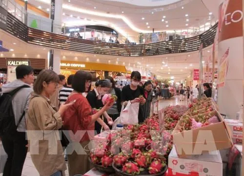 Vietnamese products seek to increase presence in Japanese market