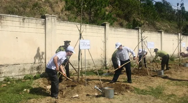 Localities observe World Environment Day