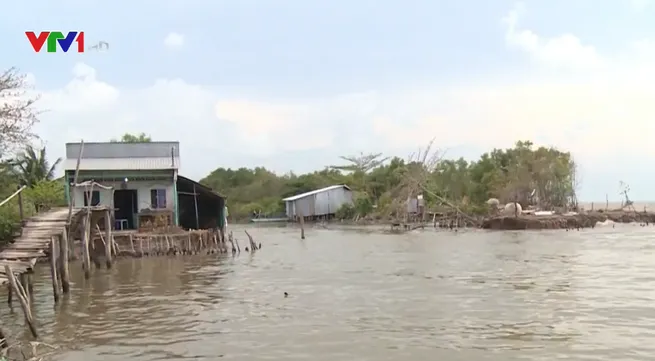 New progress in preventing erosion in Mekong River Delta