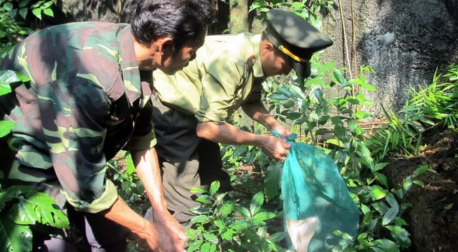 Wild animal released on World Environment Day