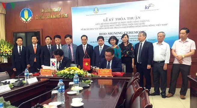 RoK funds US$4.5 million for Vietnam to improve rice value chain