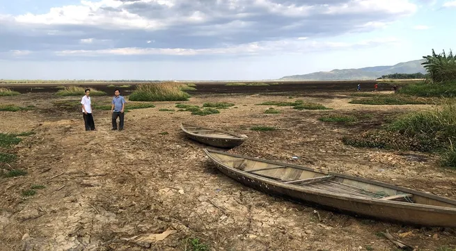 Severe drought hits Binh Dinh farmers