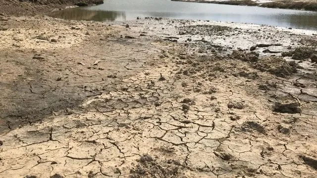 Serious drought causes crops to fail in the central