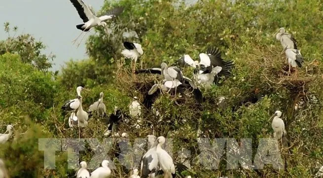 Mekong Delta province hosts annual Culture and Tourism Week