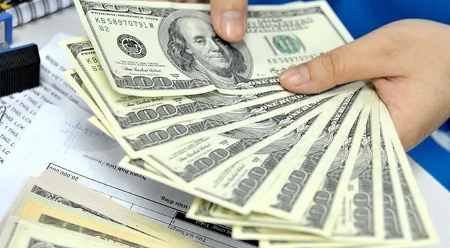 Foreign currency reserves hit US$68 billion in H1