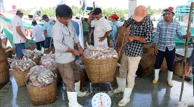 Kien Giang steps up efforts against IUU fishing