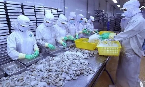 HCM City to host Vietfish expo later this month