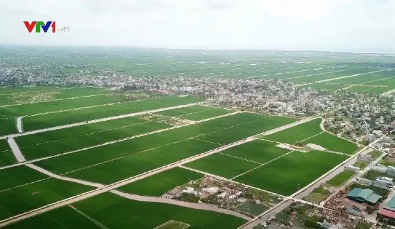 2019 agro forestry export surpasses impressive figure of 2018